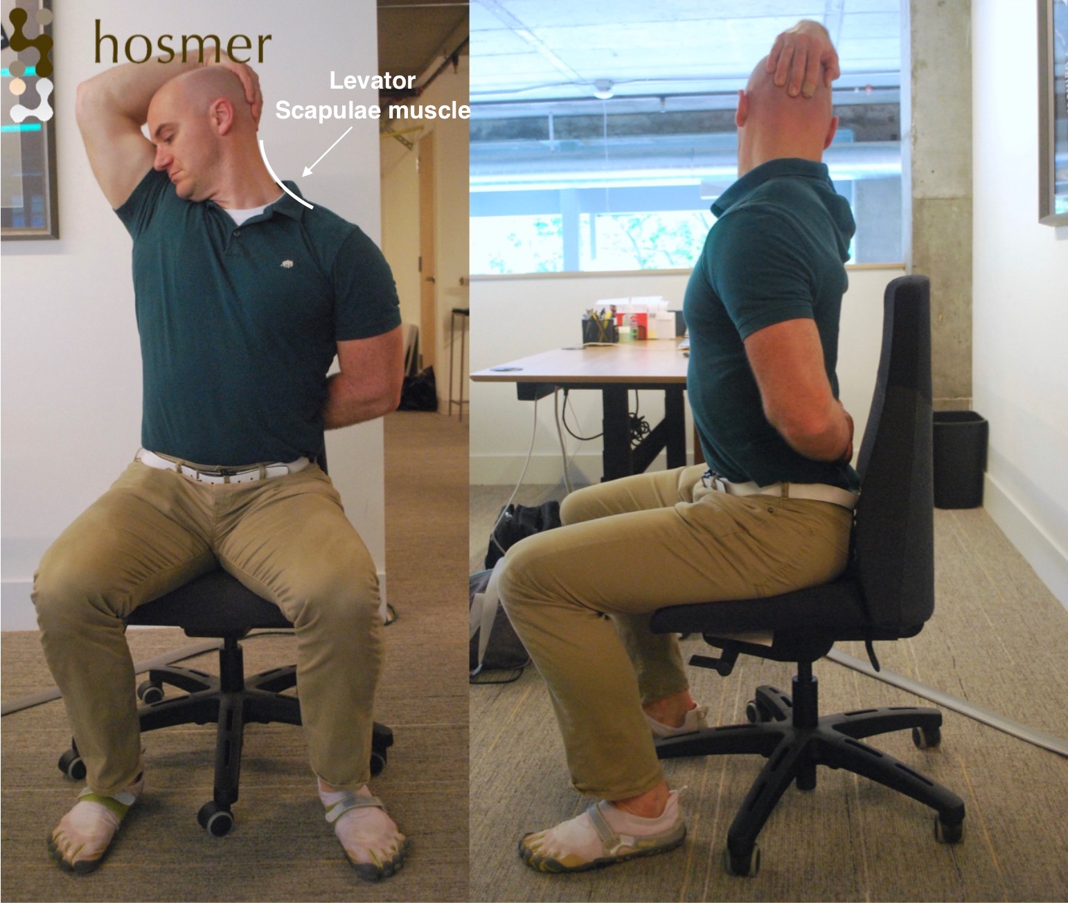 Hosmer Chiropractic › Breaking Out of Your Work Chair