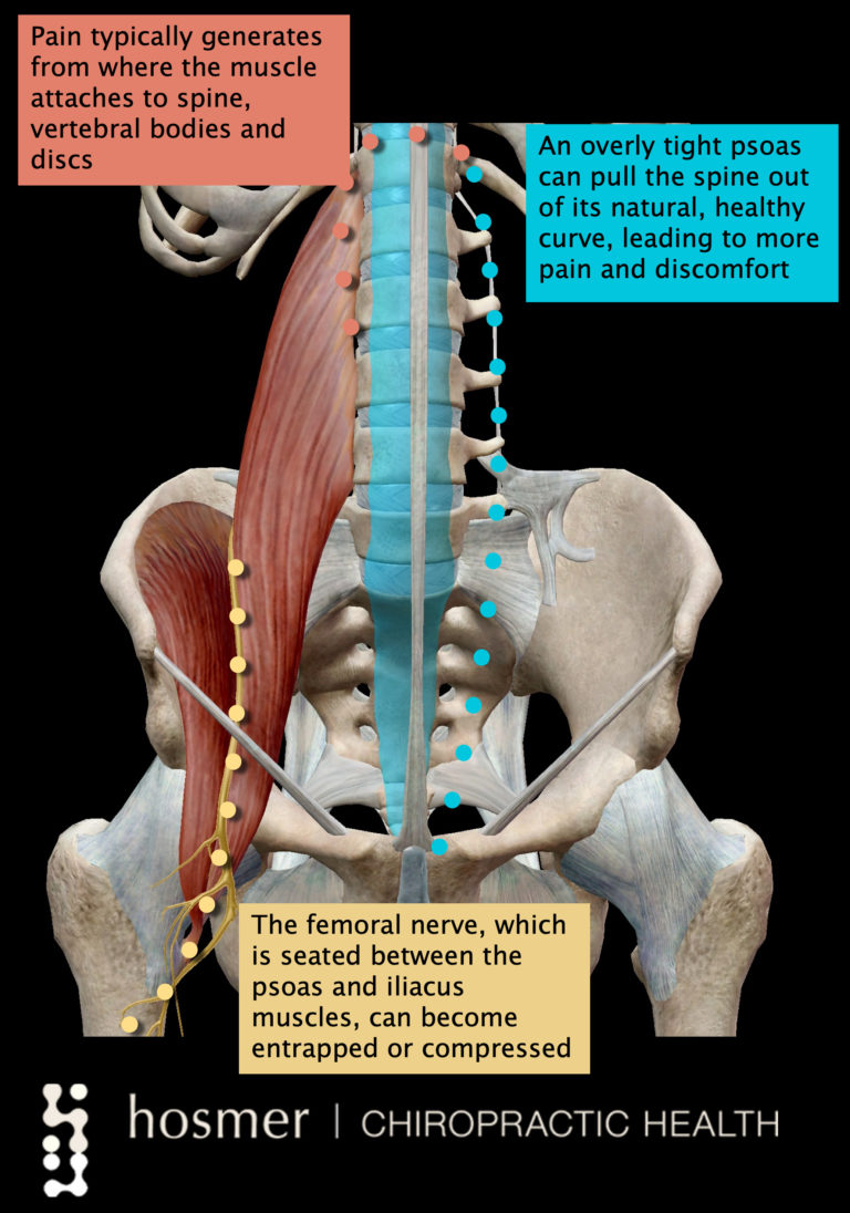 Hosmer Chiropractic Presenting: the Hosmer Highlight of the Month ...